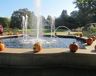 Neighbors | Alexis Bartolomucci.Several pumpkins were placed surrounding the fountain at Fellows Riverside Gardens on Oct. 13-15 in preparation for the Pumpkin Walk at Twilight on Oct. 16.