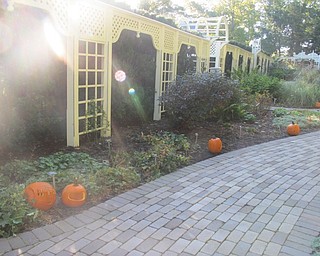 Neighbors | Alexis Bartolomucci.Pumpkins carved by guests at Fellows Riverside Gardens on Oct. 13-15 lined the paths in the gardens.