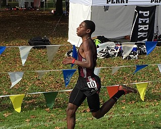 Neighbors | Submitted.Senior Chris Butler heading towards the finish at the cross country Regional Championship meet.