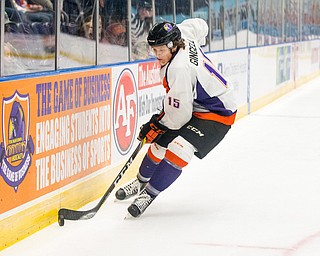 Scott R. Galvin | Vindicator .Youngstown Phantoms defenseman Jake Gingell (15) digs for the puck along the boards against the Bloomington Thunder during the first period at the Covelli Centre on November 12, 2016.