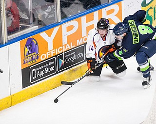 Scott R. Galvin | Vindicator .Youngstown Phantoms forward Griffin Loughran (14) gets tangled up with  Bloomington Thunder defenseman Ben Mirageas (8) while fighting for the puck during the second period at the Covelli Centre on November 12, 2016.