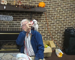 Neighbors | Alexis Bartolomucci.Nick Carano sat with his bird, Ouija, at the West Side Cats Halloween Spook-tacular event on Oct. 21 at Austintown Park.
