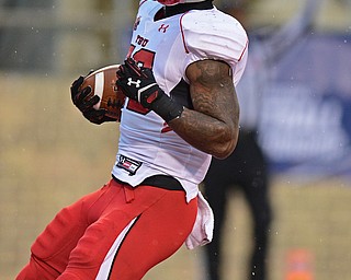 JACKSONVILLE, ALABAMA - DECEMBER 3, 2016: Running back Martin Ruiz #29 of YSU pumps his fist after scoring a rushing touchdown during the second half of their game Saturday afternoon at Burgess-Snow Field. YSU won 40-24. DAVID DERMER | THE VINDICATOR