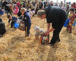 Neighbors | Alexis Bartolomucci.Children searched for pumpkins, candy and other treats in the straw during the  Pumpkin Hunt at the Cornersburg Dairy Queen on Oct. 29