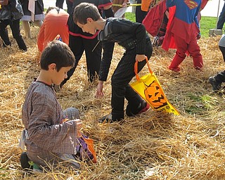 Neighbors | Alexis Bartolomucci.Children searched through the straw during the Pumpkin Hunt on Oct. 29 at the Cornersburg Dairy Queen to find prizes.