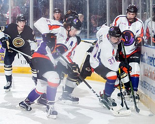 Scott R. Galvin | Vindicator.Youngstown Phantoms forward Max Ellis (37) digs for the puck along the board with help from forward Austin Pooley (12) against the Muskegon Lumberjacks during the second period at the Covelli Centre on Dec. 8, 2016. The Phantoms lost 4-3 in overtime.