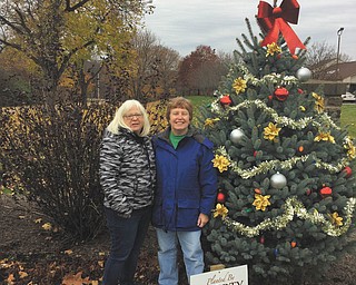 SPECIAL TO THE VINDICATOR
Nancy Phillipson, left, and Janice Coombs, members of Liberty in Bloom, decorated the tree at Churchill Park in Liberty Township. Another member, Paul Avdey, added the lights. Liberty in Bloom is a nonprofit volunteer organization established in 2001 for the purpose of beautifying the community.

