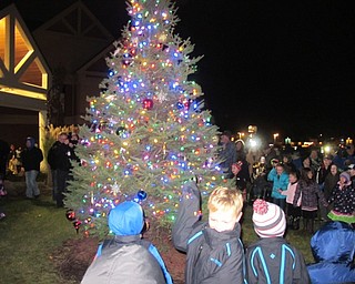 Neighbors | Alexis Bartolomucci.Students from Hitchcock Woods Learning Center circled around the tree at Akron Children's Hospital in Boardman as it lit up on Dec. 1.