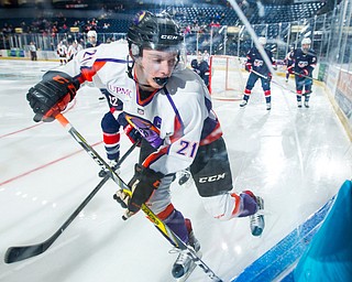 Youngstown Phantoms forward Tommy Apap (21) digs for the puck in the corner during the second period against USA NTDP at the Covelli Centre on December 31, 2016. The Phantoms won 3-1.