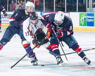 Youngstown Phantoms forward Max Ellis (37) battles for the puck with USA NTDP forward Logan Cockerill (9) during the third period at the Covelli Centre on December 31, 2016. The Phantoms won 3-1.