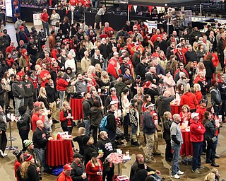        ROBERT K. YOSAY  | THE VINDICATOR..a near capacity crowd watched as YSU battled James Madison for the Championship- finally falling behind before the half and never caught up- ..