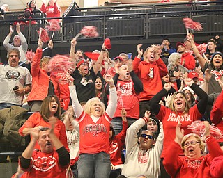        ROBERT K. YOSAY  | THE VINDICATOR..TOUCHDOWN... the crowd stands and celebrates the first touchdown....a near capacity crowd watched as YSU battled James Madison for the Championship- finally falling behind before the half and never caught up- ..