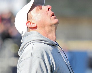William D Lewis The Vindicator Bo Pelini reacts to a call during 3rd qtr.