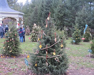 Neighbors | Alexis Bartolomucci.Families and organizations had the opportunity to decorate their own Christmas tree at the Boardman Park Community Christmas on Dec. 4.