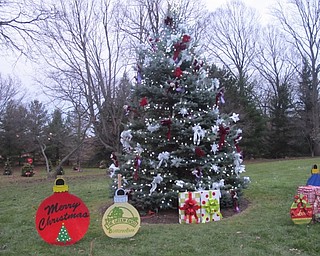 Neighbors | Alexis Bartolomucci.Boardman Park decorated a Christmas tree that they lit up during the annual Community Christmas event on Dec. 4.