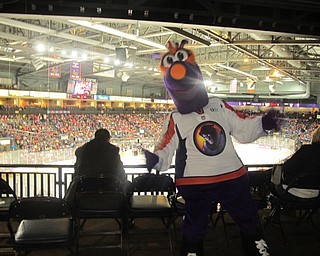Neighbors | Alexis Bartolomucci.The Youngstown Phantoms mascot, Boomer, posed as he watched the game on Dec. 8 for the Get Schooled event at the Covelli Center.