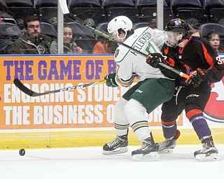 William D Lewis/The Vindicator  Phantoms Max Ellis(37)  and Musketeers Matt Hellickson(7) go for the puck during Jan. 13, 2017 action at Covelli.