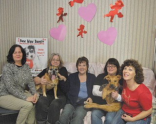 SPECIAL TO THE VINDICATOR
Every Dog Matters will host Bow Wow Boogie, a dance party fundraiser, from 8 to 11 p.m. Feb. 11 at Kuzman’s Bar, 1025 S. State St., Girard. The event will feature John Reese Project and DJ Stephen Barba. Advance tickets are $10 and will cost $12 at the door. Tickets may be purchased from volunteers, ShamPoochies Grooming Spa in Austintown, Kuzman’s on Feb. 1, USA Dance at Orthodox Center today, or by emailing everydogmatters@yahoo.com. Sponsorship opportunities are available by email. All of the proceeds will go to the foster-based dog rescue and rehabilitation organization. Volunteers are Renee Hibbard, left, Shirley Persinger holding Simon, Heather Davis, Michelle Labedz holding Tank and Kim Wagner. For information go to Facebook at EveryDogMattersRescue.