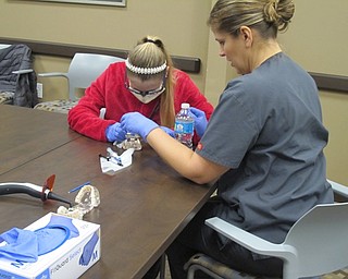 Neighbors | Alexis Bartolomucci.One of the Austintown Middle School students put on gloves, glasses and a face mask as she practiced using different tools on a pair of dentures on Jan. 6.