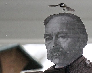 William D. Lewis The Vindicator A  Black Capped Chickadee  feeds at Ford Nature Center in Mill Creek Park  Jan 31, 2017 near a paper cutout of Volney Rogers, MCP founder.