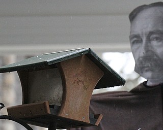 William D. Lewis The Vindicator A  Black Capped Chickadee  feeds at Ford Nature Center in Mill Creek Park  Jan 31, 2017 near a paper cutout of Volney Rogers, MCP founder.