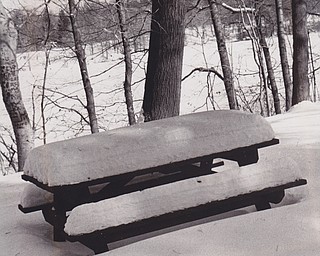 Pristine Blanket -- Not even a bird or a squirrel disturbs the white blanket on a picnic table and benches in Mill Creek Park.