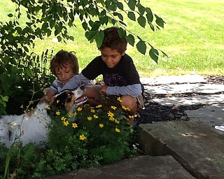 “My dog CC and nephews Aiden and Torin, surrounded by love,” writes Rosemary Wollet of her photo.