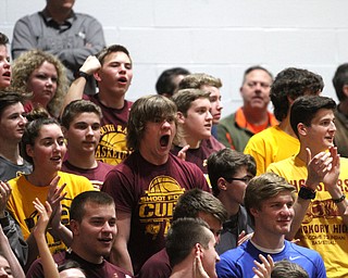 South Range fans react during the 1st quarter as South Range takes on LaBrae, Tuesday, Feb. 21, 2017 at LaBrae High School in Leavittsburg. LaBrae won 55-50...(Nikos Frazier | The Vindicator)..
