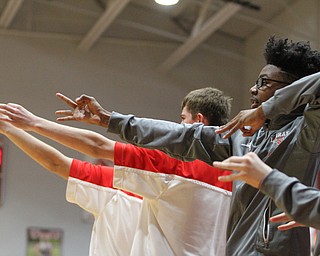 The LaBrae bench celebrates a basket during the 1st quarter as South Range takes on LaBrae, Tuesday, Feb. 21, 2017 at LaBrae High School in Leavittsburg. LaBrae won 55-50...(Nikos Frazier | The Vindicator)..