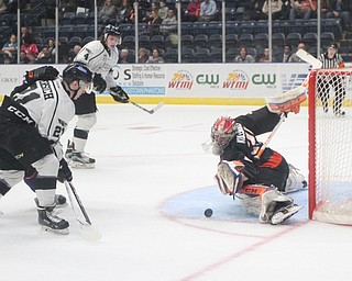 Phantoms goalie Ivan Kulbakov(31) stretches out to block a shot during the 1st period as the Fargo Force take on the Youngstown Phantoms, Friday, Feb. 24, 2017 at the Covelli Centre in Youngstown. The Phantoms won 2-1 in OT...(Nikos Frazier | The Vindicator)..