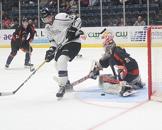 Phantoms goalie Ivan Kulbakov(31) stretches out to block a shot by Force forward Jack Adams(15) during the 1st period as the Fargo Force take on the Youngstown Phantoms, Friday, Feb. 24, 2017 at the Covelli Centre in Youngstown. The Phantoms won 2-1 in OT...(Nikos Frazier | The Vindicator)..