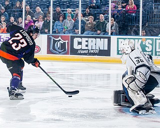 Scott R. Galvin | The Vindicator Youngstown Phantoms forward Alex Esposito (23) shoots and scores on Fargo Force goalie Ryan Bischel (30) during the first period at the Covelli Centre on February 25, 2017.