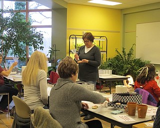 Neighbors | Alexis Bartolomucci.Cindy Velt demonstrated how to decorate cookies during the cookie decorating program at Fellows Riverside Gardens on Feb. 11.