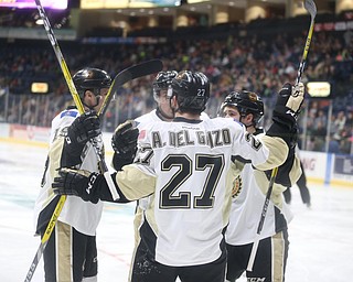 The Lumberjacks celebrate after a goal during the 1st period as the Muskegon Lumberjacks take on the Youngstown Phantoms, Saturday, March 4, 2017 at the Covelli Centre. ..(Nikos Frazier | The Vindicator)..