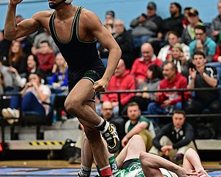 ALLIANCE, OHIO - MARCH 4, 2017: Kevon Freeman of Mentor Lake Catholic celebrates after pinning Dylan Miller of West Branch during their 145lb championship bout Saturday night at Alliance High School. DAVID DERMER | THE VINDICATOR