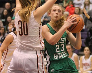 William D Lewis The Vindicator WB's Kayla Havorka (23)) shoots over Padua's Sarah Rapacz(30).