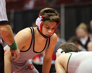 Anthony D'Alesio of Canfield defeats Collin Langer in the 152# Div II.  Photo by Mary Beidelschies