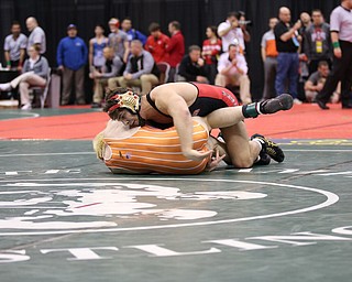 Georgio Poullas of Canfield heads to the Championship Finals after beating Ashton Eyler of Uhrichsville Claymont in the 160# Div II.  Photo by Mary Beidelschies.