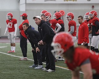 Coach Bo Pelini during practice at the Watson and Tressel Training Site, Friday, March 17, 2017, in Youngstown. ..(Nikos Frazier | The Vindicator)..