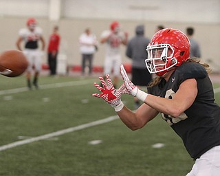 Youngstown senior quarterback Ricky Davis(12) during practice at the Watson and Tressel Training Site, Friday, March 17, 2017, in Youngstown. ..(Nikos Frazier | The Vindicator)..