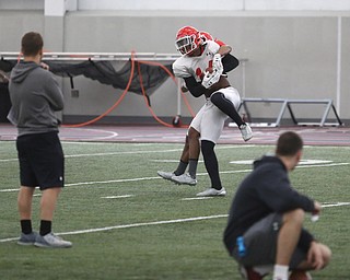 Youngstown senior free safety Solomon Warfield(14) goes up for a catch during practice at the Watson and Tressel Training Site, Friday, March 17, 2017, in Youngstown. ..(Nikos Frazier | The Vindicator)..