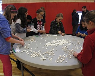 Neighbors | Alexis Bartolomucci.Fourth-grade students made bridges out of marshmallows and toothpicks during STEM Day at Austintown Intermediate School on March 7.