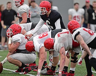 YOUNGSTOWN, OHIO - MARCH 31, 2017: Quarterback Hunter Wells #6, black, shouts instructions to the offensive line prior to the snap of the football during practice Friday afternoon at the Watts training facility. DAVID DERMER | THE VINDICATOR