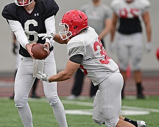 YOUNGSTOWN, OHIO - MARCH 31, 2017: Quarterback Hunter Wells #6, black, hands the ball off to running back Joe Alessi #30, white, during practice Friday afternoon at the Watts training facility. DAVID DERMER | THE VINDICATOR