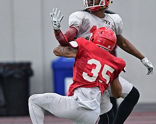 YOUNGSTOWN, OHIO - MARCH 31, 2017: Receiver Solomon Warfield #14, white, reaches for the football while linebacker Christiaan Randall-Posey #35, red, breaks up the pass during practice Friday afternoon at the Watts training facility. DAVID DERMER | THE VINDICATOR
