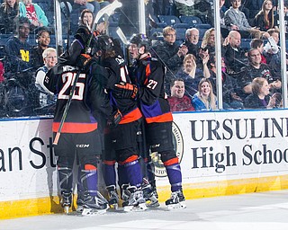 Scott R. Galvin | The Vindicator.The Youngstown Phantoms celebrate their second period goal against the Lincoln Stars at the Covelli Centre on April 1, 2017...