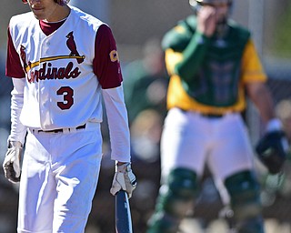 STRUTHERS, OHIO - APRIL 8, 2017: Cardinal Rooney's Alex Wollet (3) walks to the dugout after striking out in the fifth inning of Saturday afternoons game at Cene Park. St. Ed's won 4-1. DAVID DERMER | THE VINDICATOR