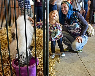 CANFIELD – Jaime Jastatt of Warren and her daughter Jenavieve, 2, pet a miniature horse, Sunday afternoon during the Farm Animal Baby Shower at the Mill Creek MetroParks Farm. DAVID DERMER | THE VINDICATOR