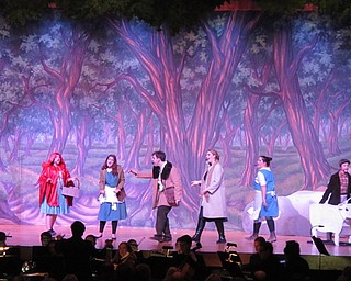 Neighbors | Alexis Bartolomucci.Austintown Fitch Drama Club students performed "Into the Woods" for the spring musical on March 31 and April 1 at Austintown Fitch High School.