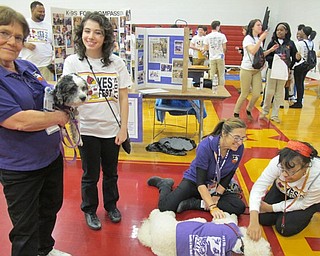 Neighbors | Alexis Bartolomucci.Cardinal Mooney students played with the dogs from K-9s for Compassion on March 22 during the annual Yes Fest.